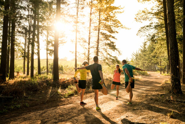 Group of runners warming up in sunlit woodland